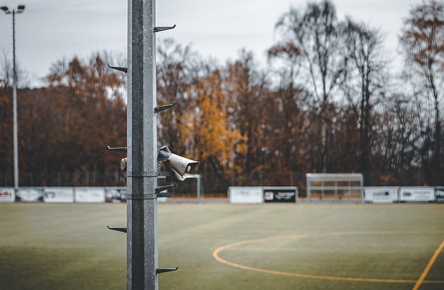 这无疑减少 这无疑减少