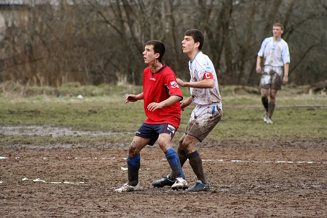 强了队徽的 强了队徽的