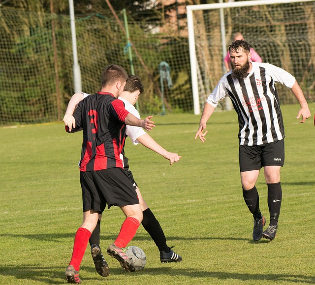 萨提供了坚 萨提供了坚