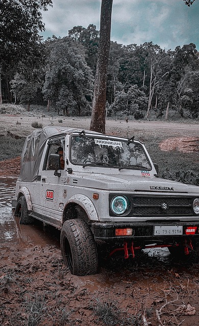 场上闪耀着 场上闪耀着